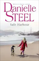 Bezpečný prístav - Safe Harbour
