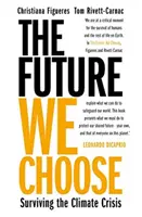 Budúcnosť, ktorú si vyberáme - „Túto knihu by si mal prečítať každý“ MATT HAIG - The Future We Choose - 'Everyone should read this book' MATT HAIG