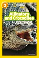 Aligátory a krokodíly - úroveň 3 - Alligators and Crocodiles - Level 3