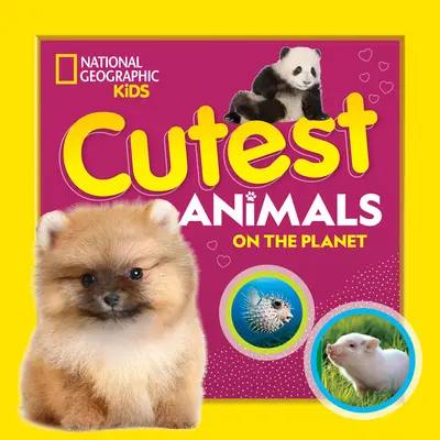 Najroztomilejšie zvieratá na planéte - Cutest Animals on the Planet
