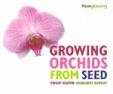 Pestovanie orchideí zo semien - Growing Orchids from Seed