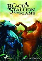 Čierny žrebec a plameň - The Black Stallion and Flame