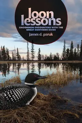 Loon Lessons: Neobyčajné stretnutia s veľkým severským potápačom - Loon Lessons: Uncommon Encounters with the Great Northern Diver