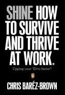 Žiariť - Ako prežiť a prosperovať v práci - Shine - How To Survive And Thrive At Work