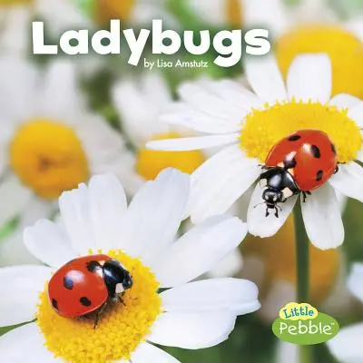 Berušky - Ladybugs
