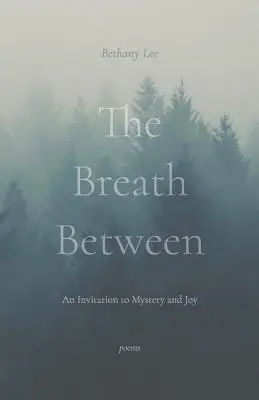 The Breath Between (Dych medzi): Pozvanie k tajomstvu a radosti - The Breath Between: An Invitation to Mystery and Joy