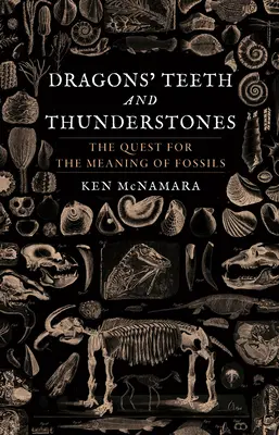 Dračie zuby a hromové kamene: Pátranie po význame skamenelín - Dragons' Teeth and Thunderstones: The Quest for the Meaning of Fossils