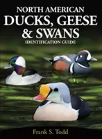 Severoamerické kačice, husi a labute - identifikačný sprievodca - North American Ducks, Geese and Swans - Identification Guide