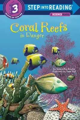 Koralové útesy v ohrození - Coral Reefs in Danger