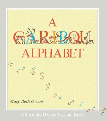 Abeceda karibu - A Caribou Alphabet