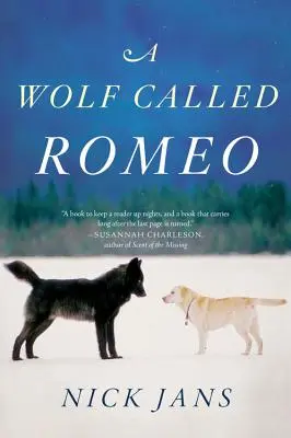 Vlk menom Romeo - A Wolf Called Romeo