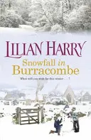 Sneženie v Burracombe - Snowfall in Burracombe