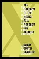 XA problém černochov ako problém na zamyslenie - XA the Problem of the Negro as a Problem for Thought