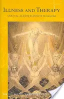 Choroba a terapia: Duchovno-vedecké aspekty liečby (Cw 313) - Illness and Therapy: Spiritual-Scientific Aspects of Healing (Cw 313)