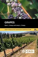 Hrozno - Grapes