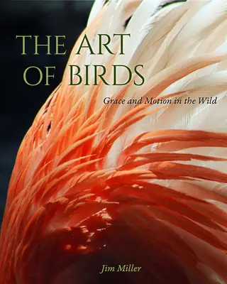 Umenie vtákov: Umenie vtákov: pôvab a pohyb vo voľnej prírode - The Art of Birds: Grace and Motion in the Wild