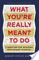 Čo máte skutočne robiť: Plán na dosiahnutie vášho jedinečného potenciálu - What You're Really Meant to Do: A Road Map for Reaching Your Unique Potential