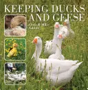 Chov kačíc a husí - Keeping Ducks and Geese