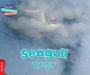 Čajka Červená kapela - Seagull Red Band
