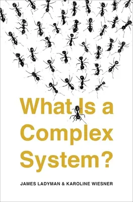 Čo je to komplexný systém? - What Is a Complex System?