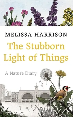 Tvrdohlavé svetlo vecí: Denník prírody - The Stubborn Light of Things: A Nature Diary