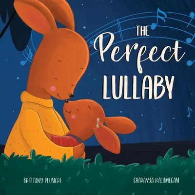 Dokonalá uspávanka - The Perfect Lullaby