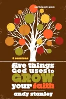 Päť vecí, ktoré Boh používa na rast vašej viery - Five Things God Uses to Grow Your Faith