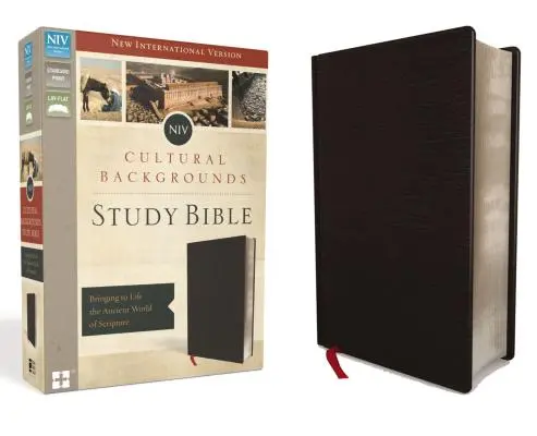 NIV, Študijná biblia Kultúrne pozadie, lepená koža, čierna: Oživenie starovekého sveta Písma, čierna farba - NIV, Cultural Backgrounds Study Bible, Bonded Leather, Black: Bringing to Life the Ancient World of Scripture