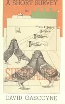 Krátky prehľad surrealizmu - A Short Survey of Surrealism