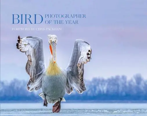 Fotograf vtákov roka: (Fotograf vtákov roka) - Bird Photographer of the Year: Collection 4 (Bird Photographer of the Year)