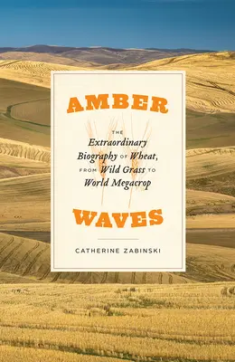 Jantárové vlny: Od divokej trávy po svetovú megakultúru: neobyčajný životopis pšenice - Amber Waves: The Extraordinary Biography of Wheat, from Wild Grass to World Megacrop