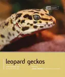 Gekón leopardí - Leopard Gecko