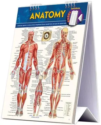 Anatomy Easel Book: Rýchloštudijná referenčná pomôcka - Anatomy Easel Book: A Quickstudy Reference Tool