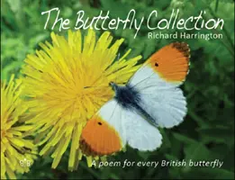 Kolekcia motýľov - Butterfly Collection