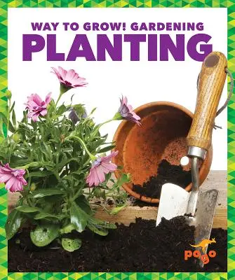 Výsadba - Planting