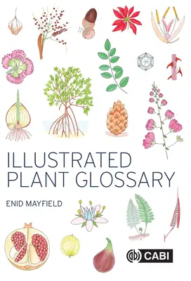 Ilustrovaný slovník rastlín - Illustrated Plant Glossary