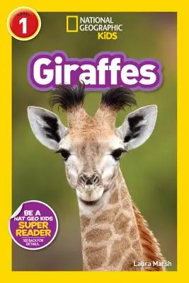 Žirafy - Giraffes