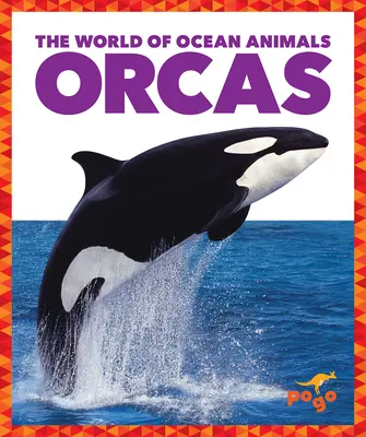 Kosatky - Orcas