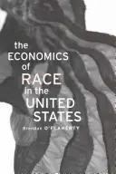 Ekonomika rasy v Spojených štátoch - Economics of Race in the United States