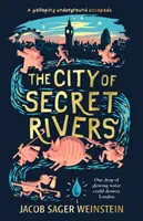Mesto tajných riek - City of Secret Rivers
