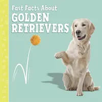 Rýchle fakty o zlatých retrieveroch - Fast Facts About Golden Retrievers