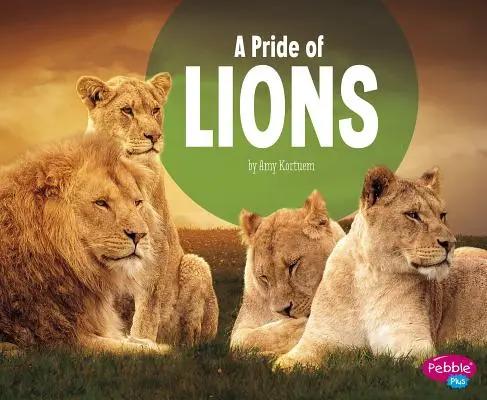Pýcha levov - A Pride of Lions