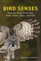 Vtáčie zmysly: Ako a čo vtáky vidia, počujú, cítia, chutia a cítia - Bird Senses: How and What Birds See, Hear, Smell, Taste and Feel
