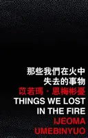Veci, ktoré sme stratili pri požiari - Things We Lost in the Fire
