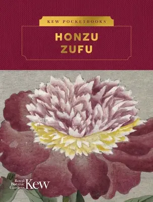 Vreckové príručky Kew: Honzo Zufu - Kew Pocketbooks: Honzo Zufu
