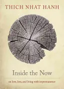 Vnútri prítomnosti: Meditácie o čase - Inside the Now: Meditations on Time