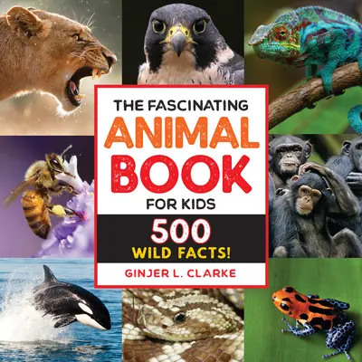 Fascinujúca kniha o zvieratách pre deti: 500 divokých faktov! - The Fascinating Animal Book for Kids: 500 Wild Facts!