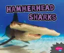 Žraloky s kladivovou hlavou - Hammerhead Sharks