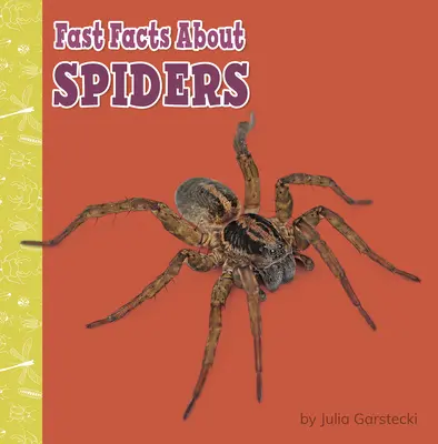 Rýchle fakty o pavúkoch - Fast Facts about Spiders