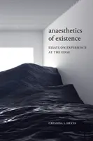 Anestetika existencie: Eseje o skúsenostiach na okraji - Anaesthetics of Existence: Essays on Experience at the Edge